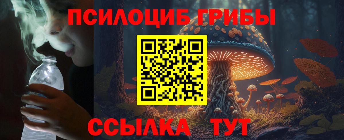 как найти   Вход с VPN  Тольятти  Галлюциногенные грибы мухоморы 